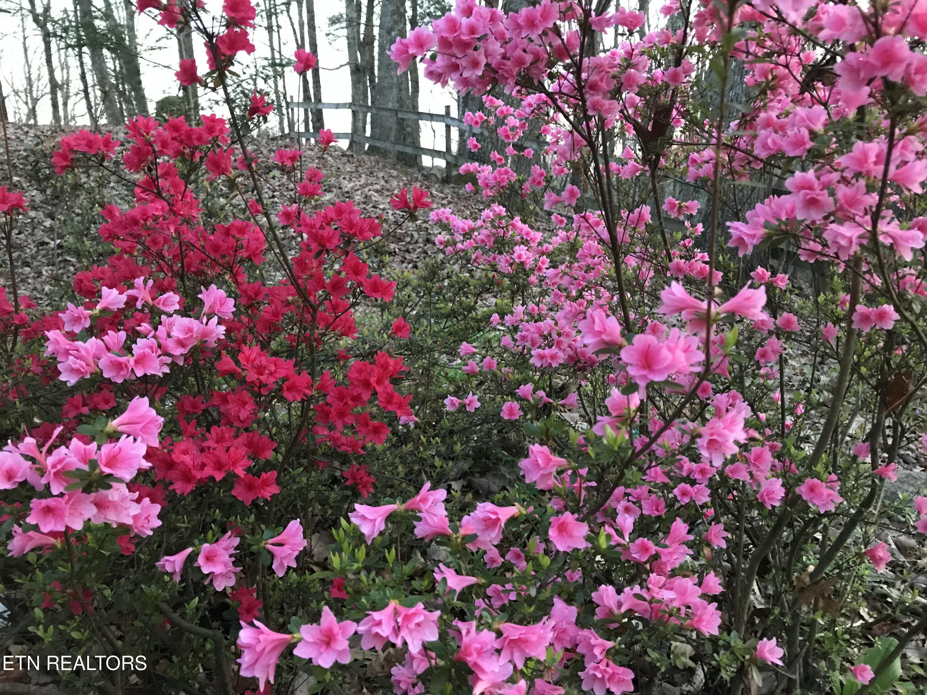 804 South Shiloh Road Seymour, TN 37865 - Photo 16 of 60 IMG_20260223_180957