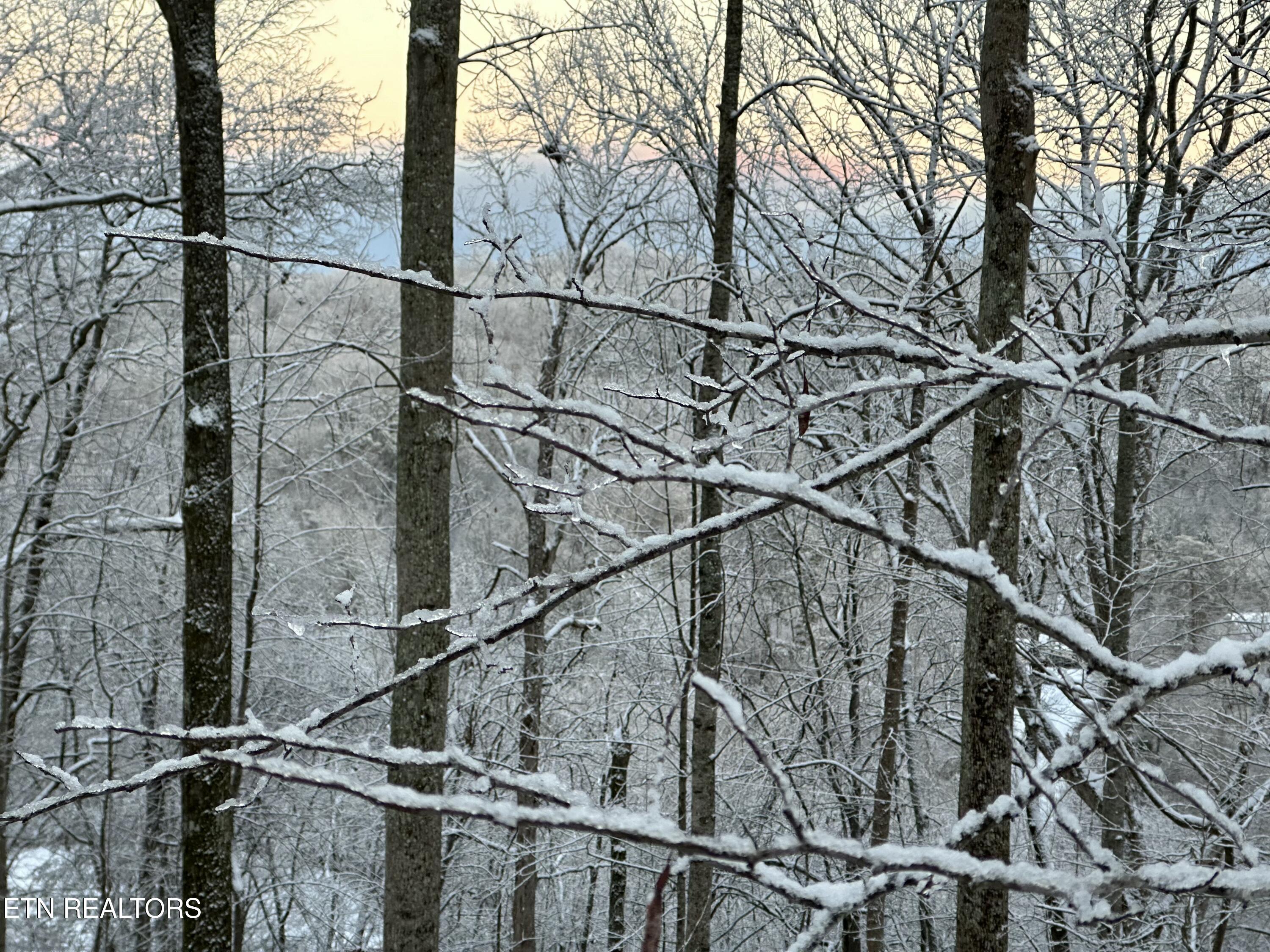 804 South Shiloh Road Seymour, TN 37865 - Photo 20 of 60 IMG_20260223_180919