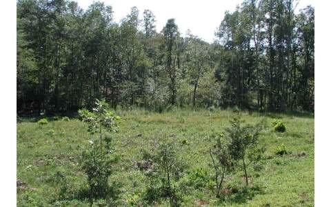 Lot 3 Hedden Road Murphy, NC 28906 - Photo 1 of 1 a view of outdoor space and green space