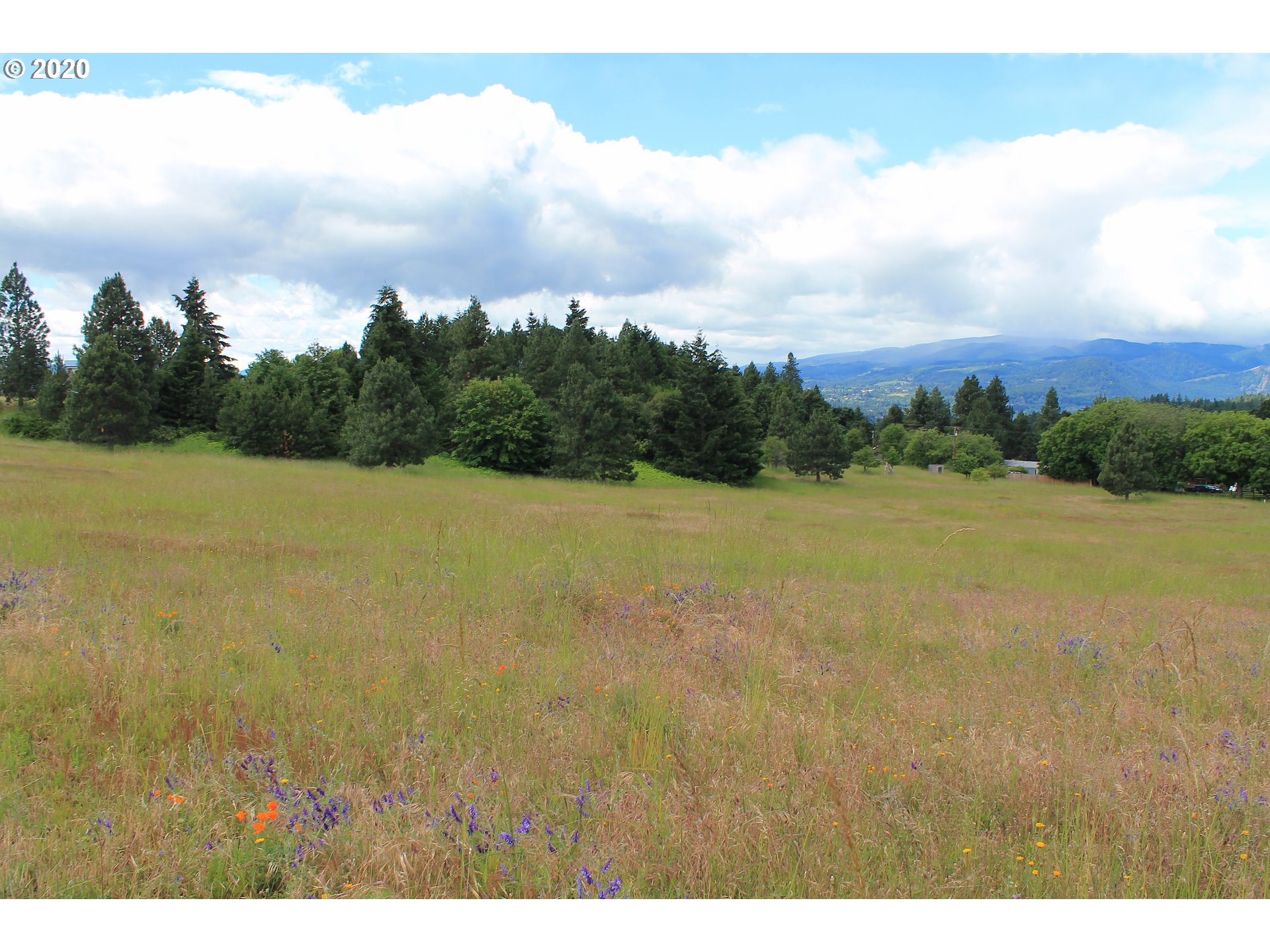 Southwest Pucker Huddle Road White Salmon, WA 98672 - Photo 16 of 21 Gallery Image 16