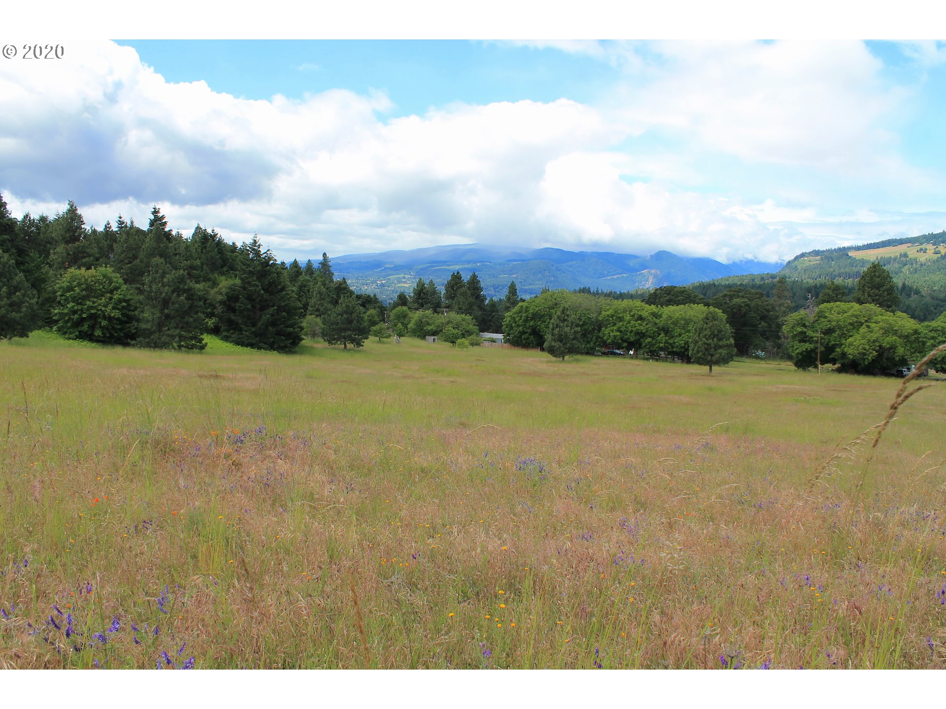 Southwest Pucker Huddle Road White Salmon, WA 98672 - Photo 17 of 21 Gallery Image 17