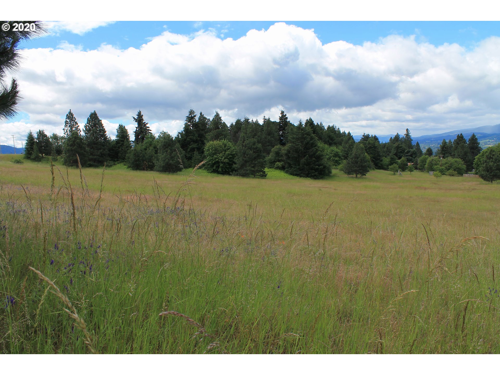 Southwest Pucker Huddle Road White Salmon, WA 98672 - Photo 18 of 21 Gallery Image 18