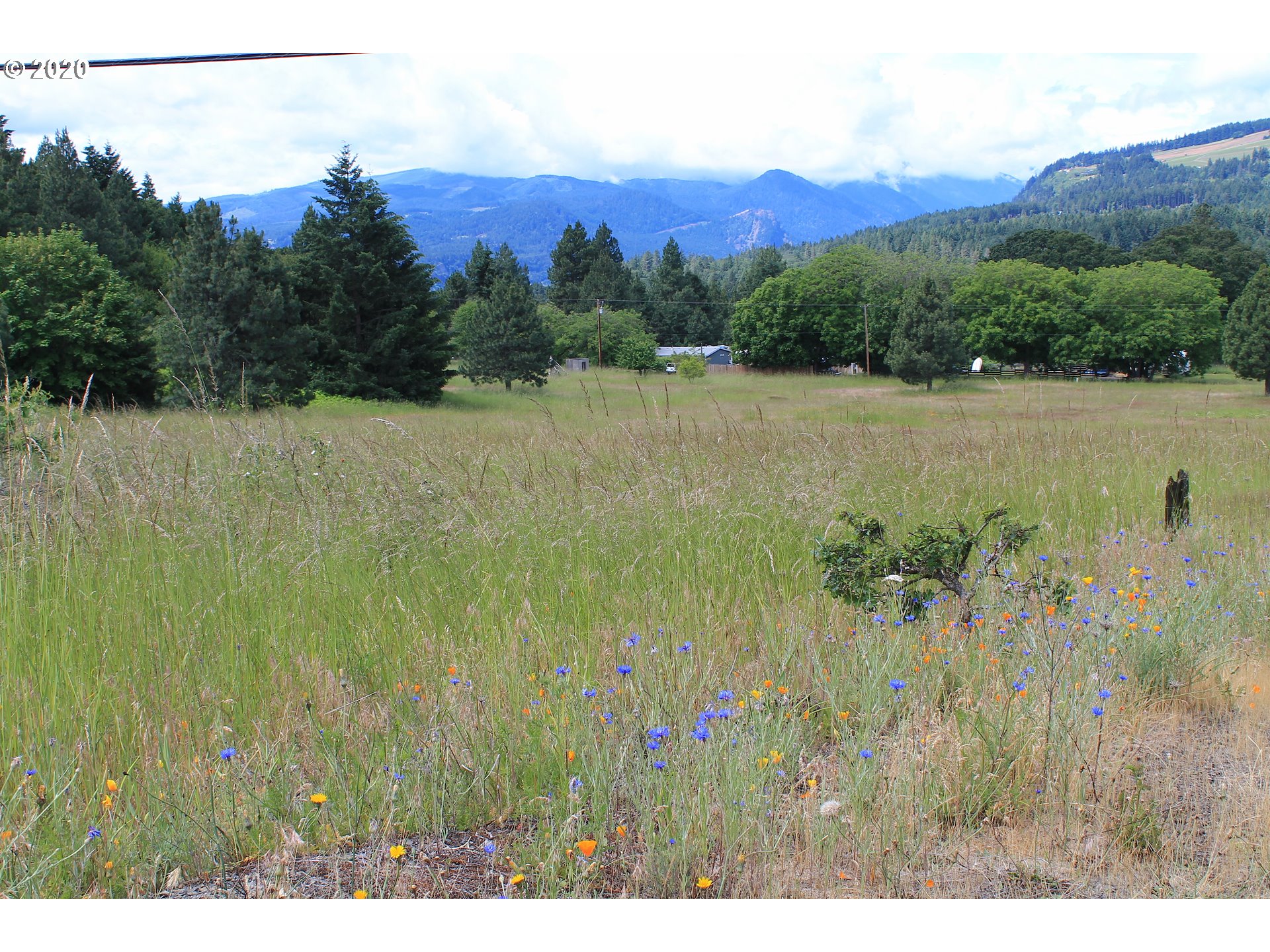 Southwest Pucker Huddle Road White Salmon, WA 98672 - Photo 21 of 21 Gallery Image 21
