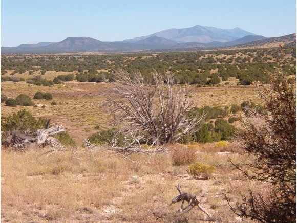 2356 West Red Tie Road Williams, AZ 86046 - Photo 1 of 6 a view of a mountain with an outdoor space