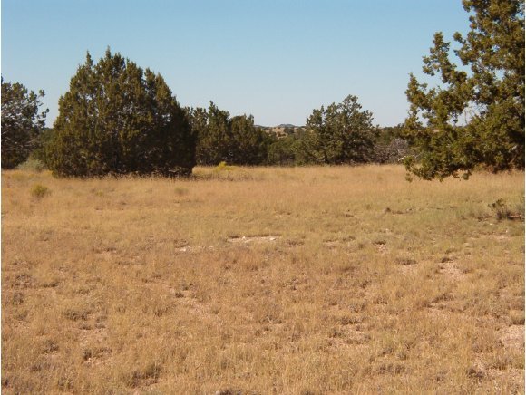 2356 West Red Tie Road Williams, AZ 86046 - Photo 2 of 6 a view of lake