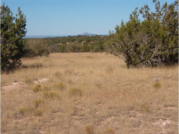 2356 West Red Tie Road Williams, AZ 86046 - Photo 3 of 6 a view of lake with mountain