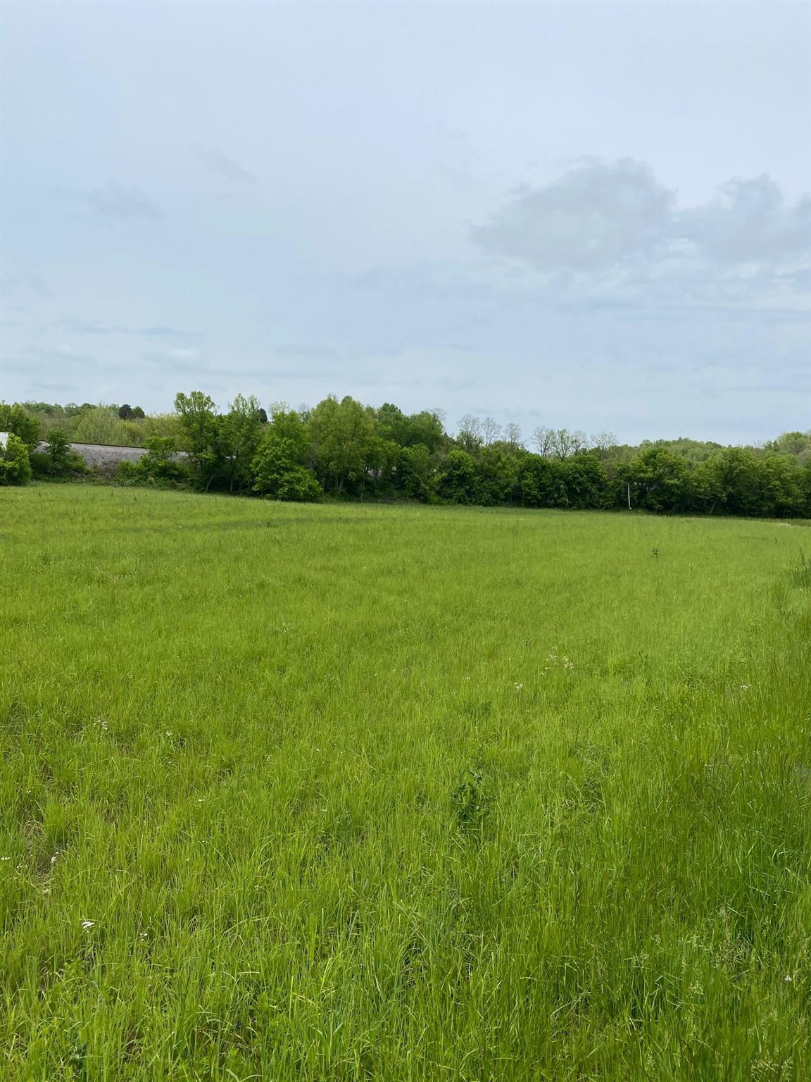 19.73-acre Elliston Mt Zion Road Dry Ridge, KY 41035 - Photo 8 of 9