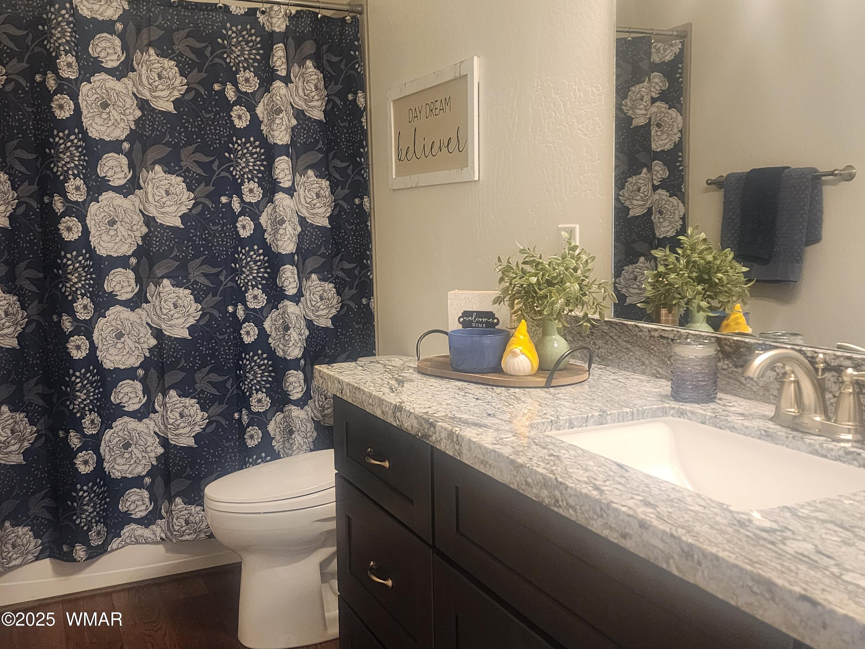 5523 Turkey Run Road Pinedale, AZ 85934 - Photo 22 of 34 a bathroom with a granite countertop sink a toilet and a mirror