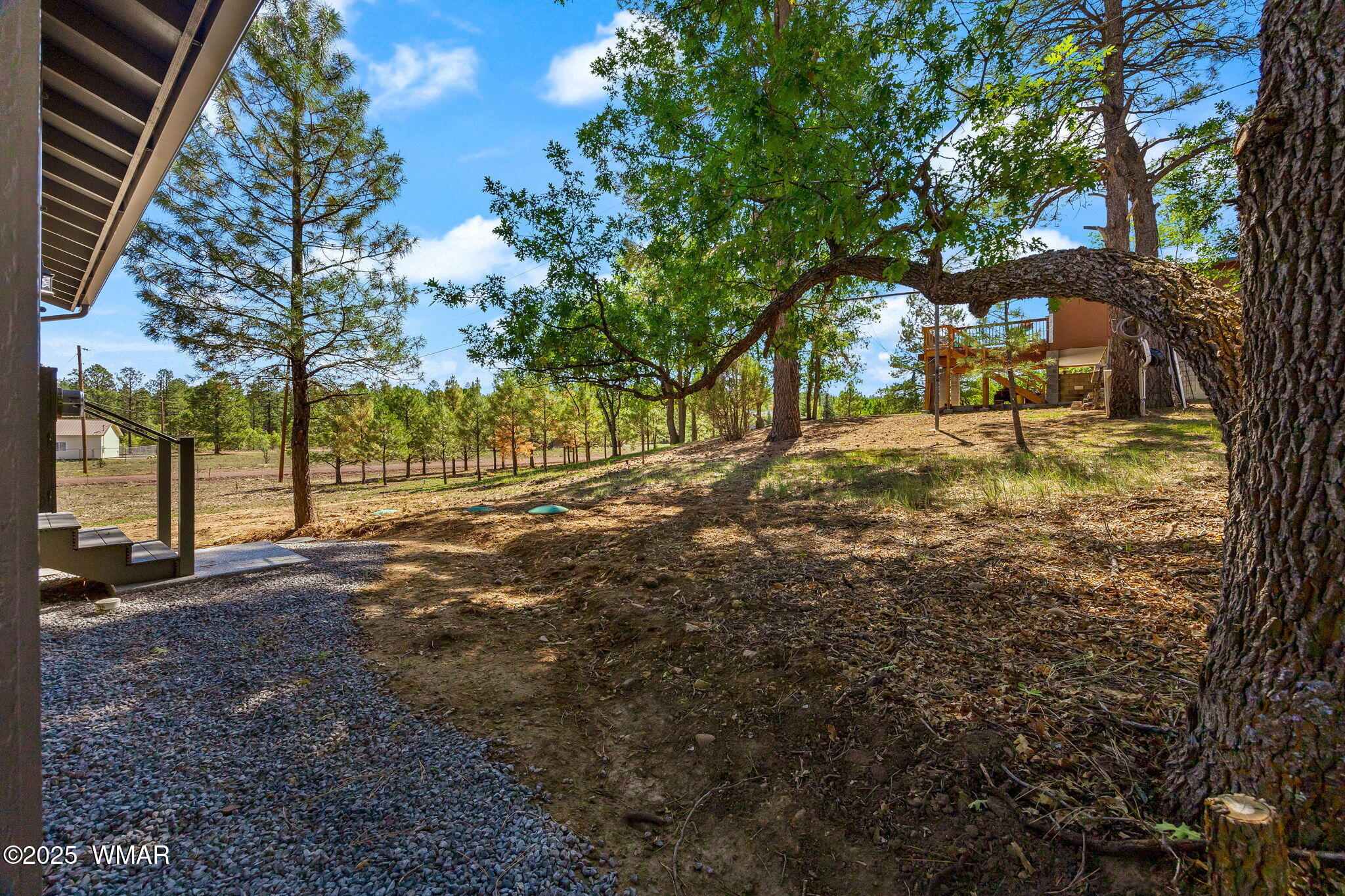5523 Turkey Run Road Pinedale, AZ 85934 - Photo 31 of 34 a backyard of a house with lots of green space