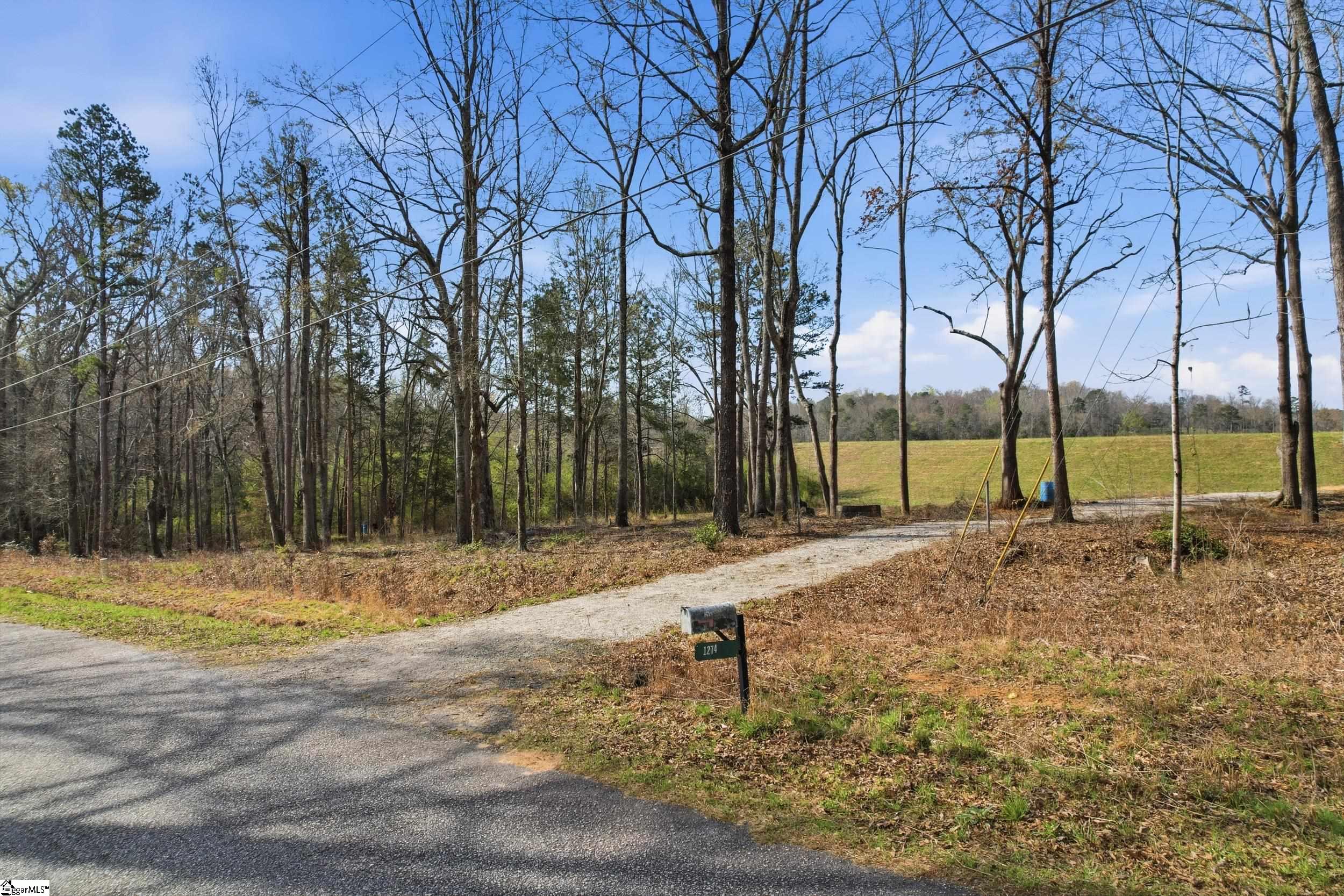 1274 Martins Lake Road Gray Court, SC 29645 - Photo 6 of 15