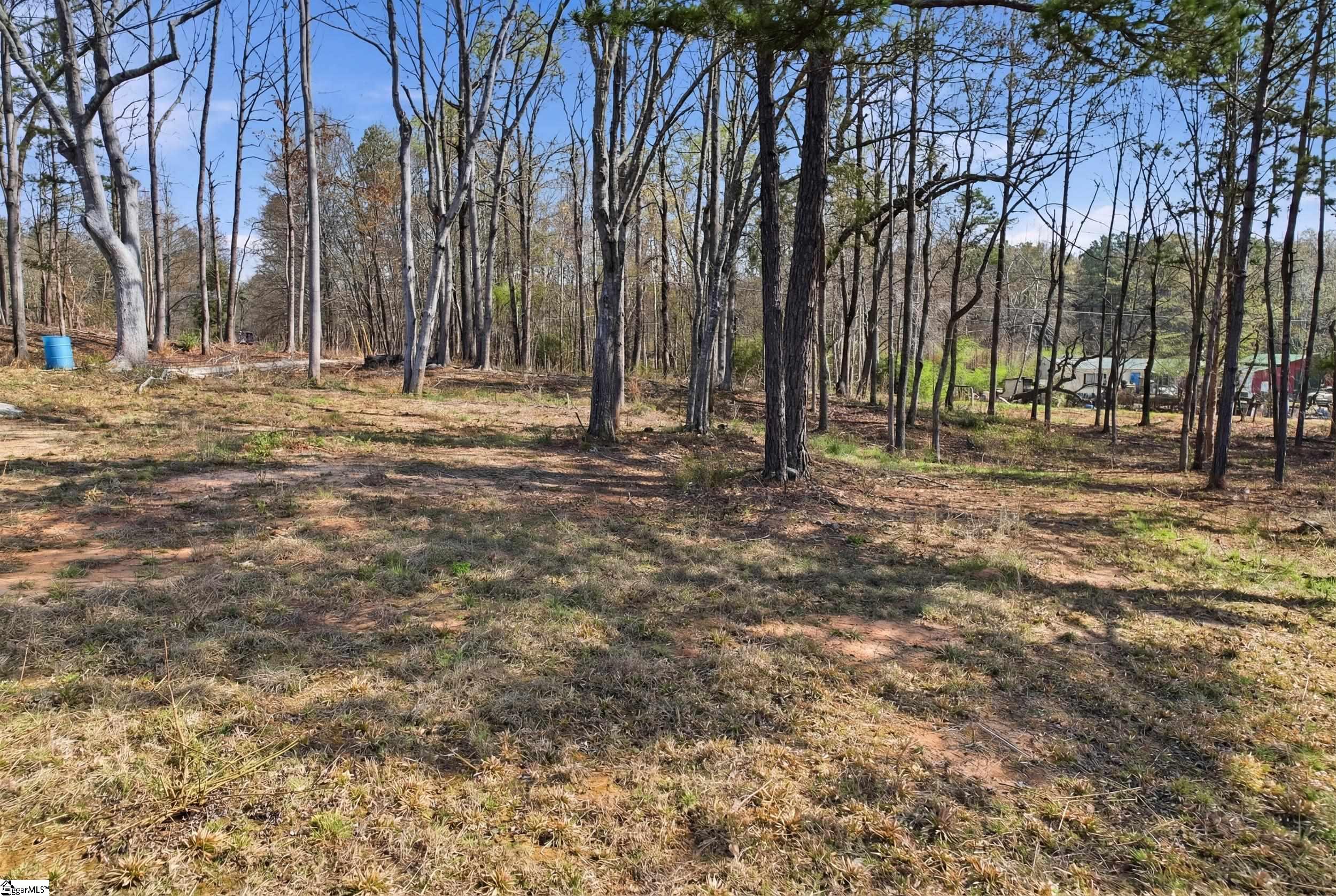 1274 Martins Lake Road Gray Court, SC 29645 - Photo 9 of 15