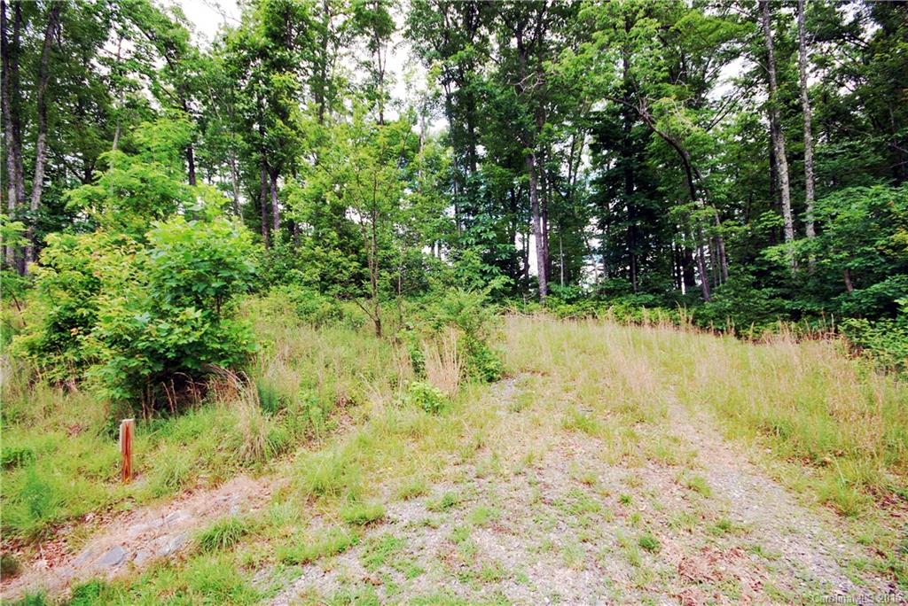 19 Kelly Mountain Road, Unit 19 Brevard, NC 28712 - Photo 8 of 13 Gallery Image 8