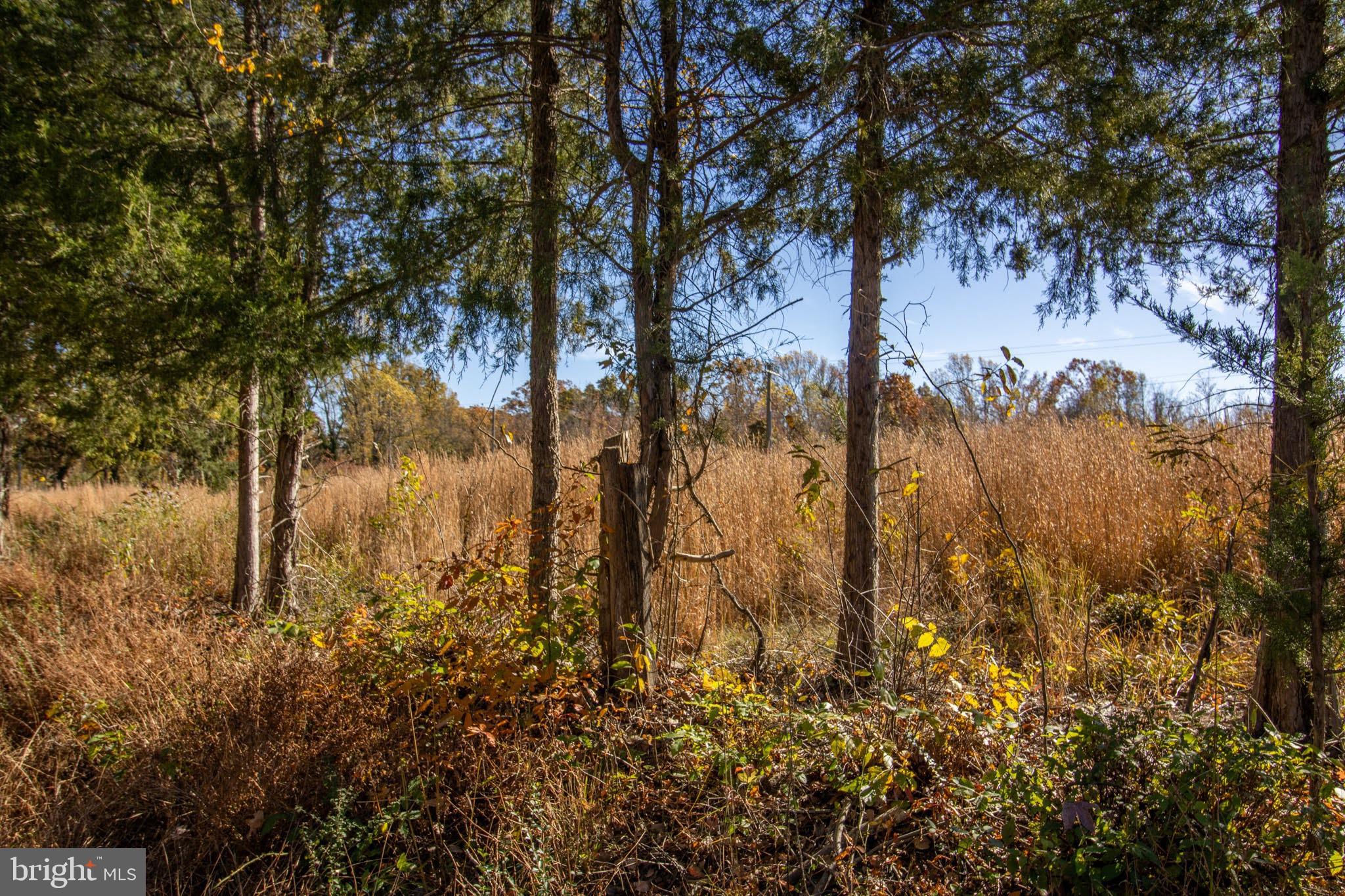 Tbd Piney Grove Road, Unit 21 Alton, VA 24520 - Photo 7 of 19