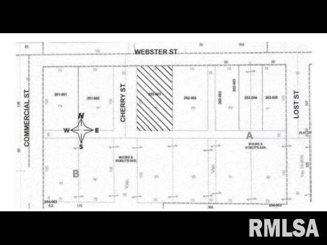 302 East Webster Street Benton, IL 62812 - Photo 4 of 5