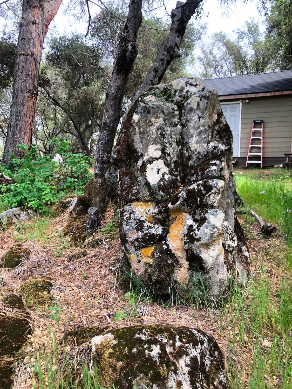 30985 Quartz Mountain Road Coarsegold, CA 93614 - Photo 15 of 24 Gallery Image 15