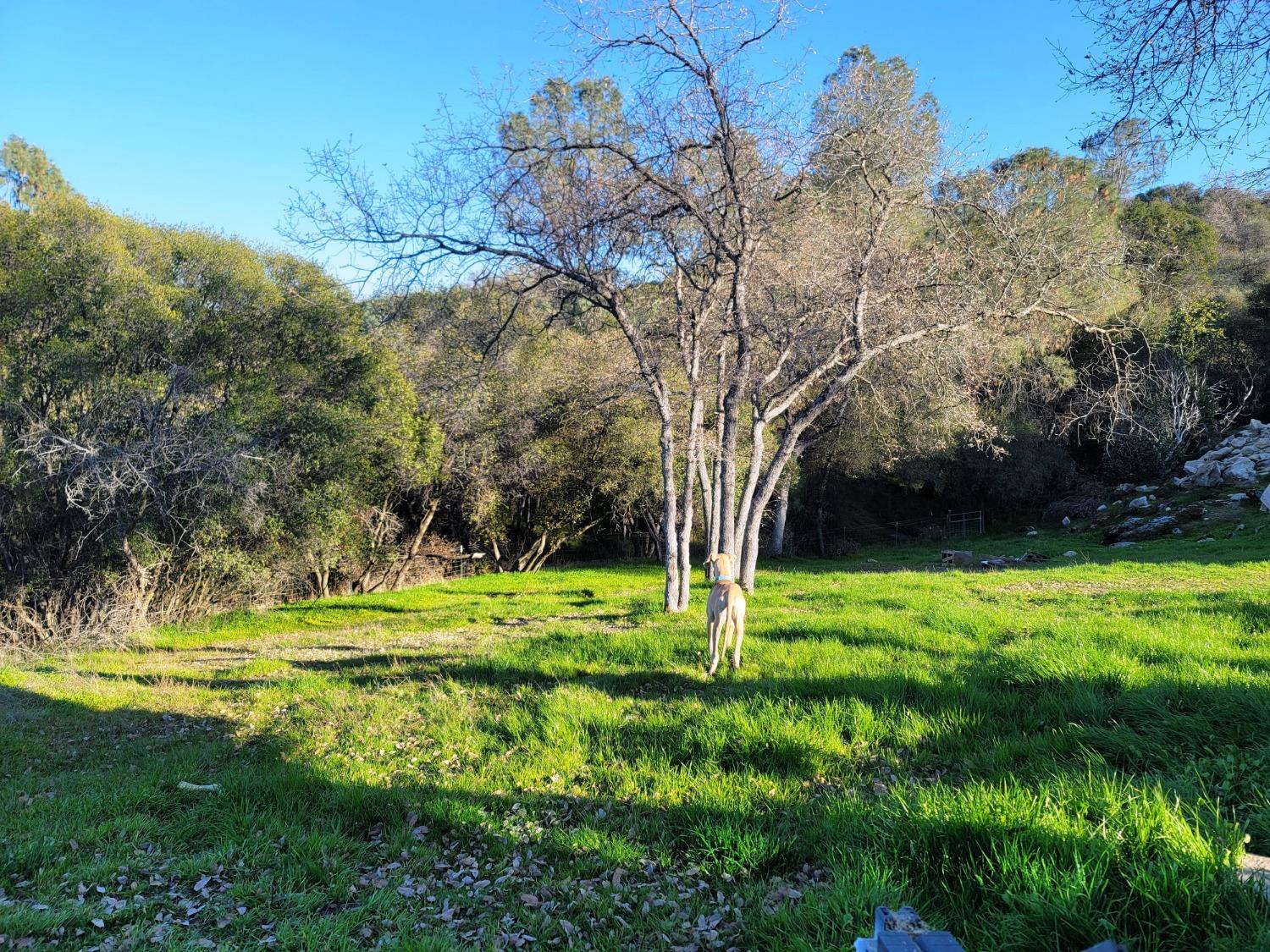 30985 Quartz Mountain Road Coarsegold, CA 93614 - Photo 5 of 24 Gallery Image 5