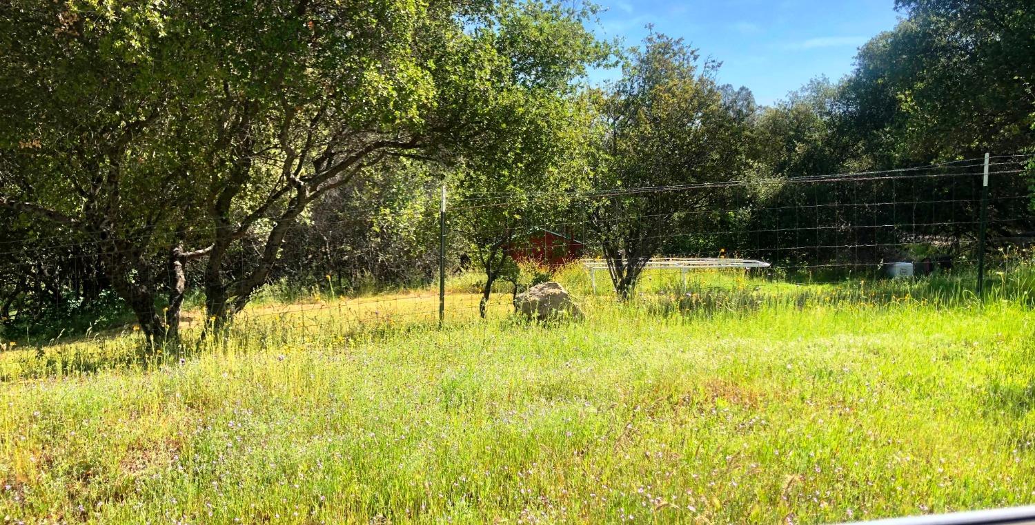 30985 Quartz Mountain Road Coarsegold, CA 93614 - Photo 8 of 24 Gallery Image 8