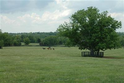 0 Kidds Mill Road Versailles, KY 40383 - Photo 9 of 29 Photo 9