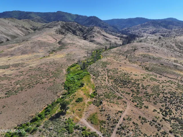 a view of a lush green outdoor space with a mountain view