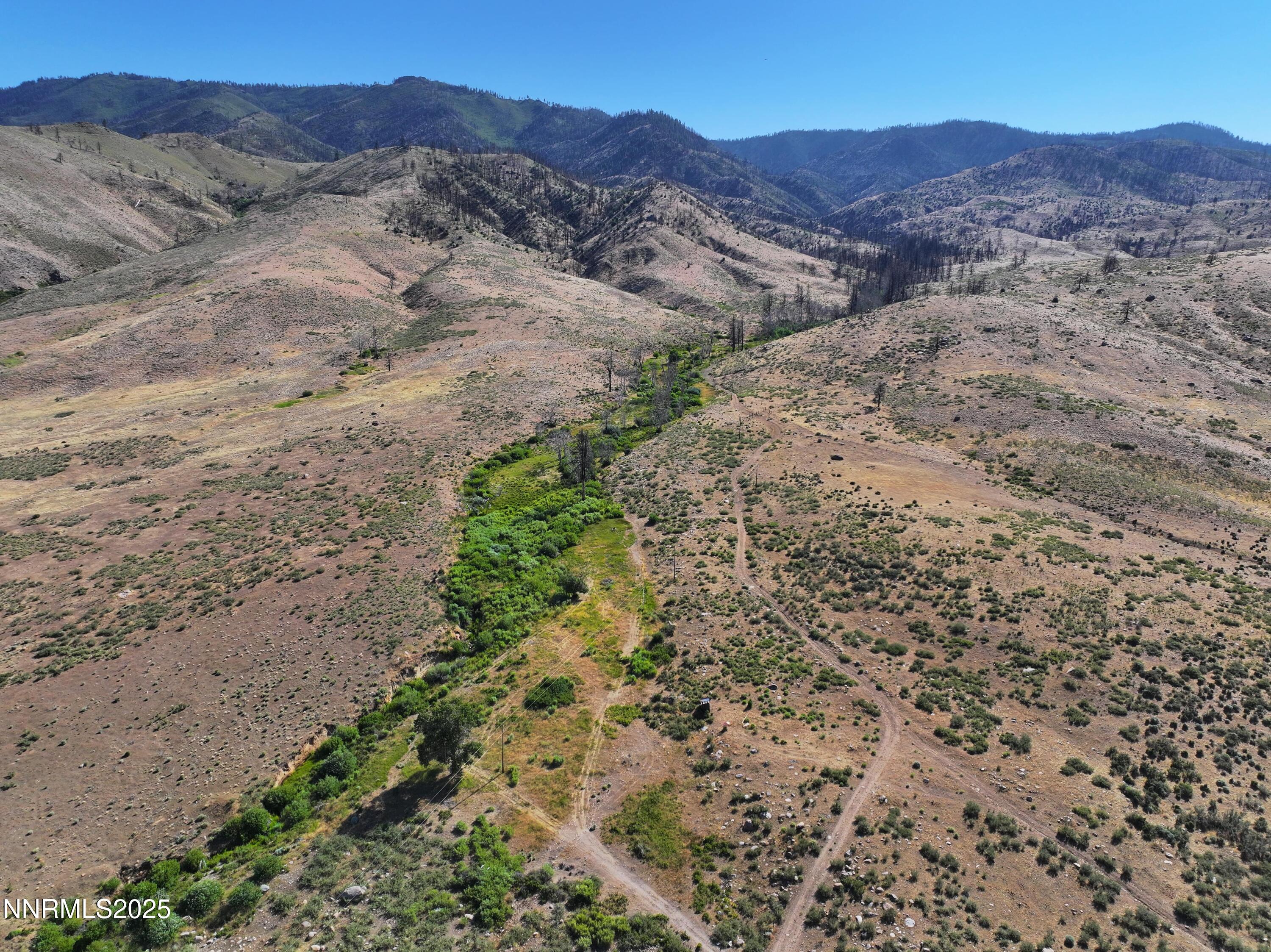 432-250 Constantia Road Doyle, CA 96109 - Photo 17 of 54 a view of a dry field