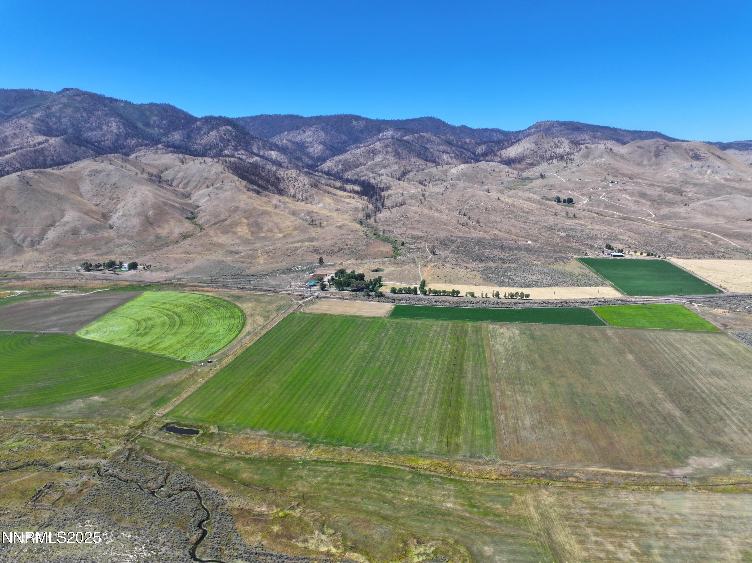 432-250 Constantia Road Doyle, CA 96109 - Photo 26 of 54 a view of a backyard with a garden and covered with green space