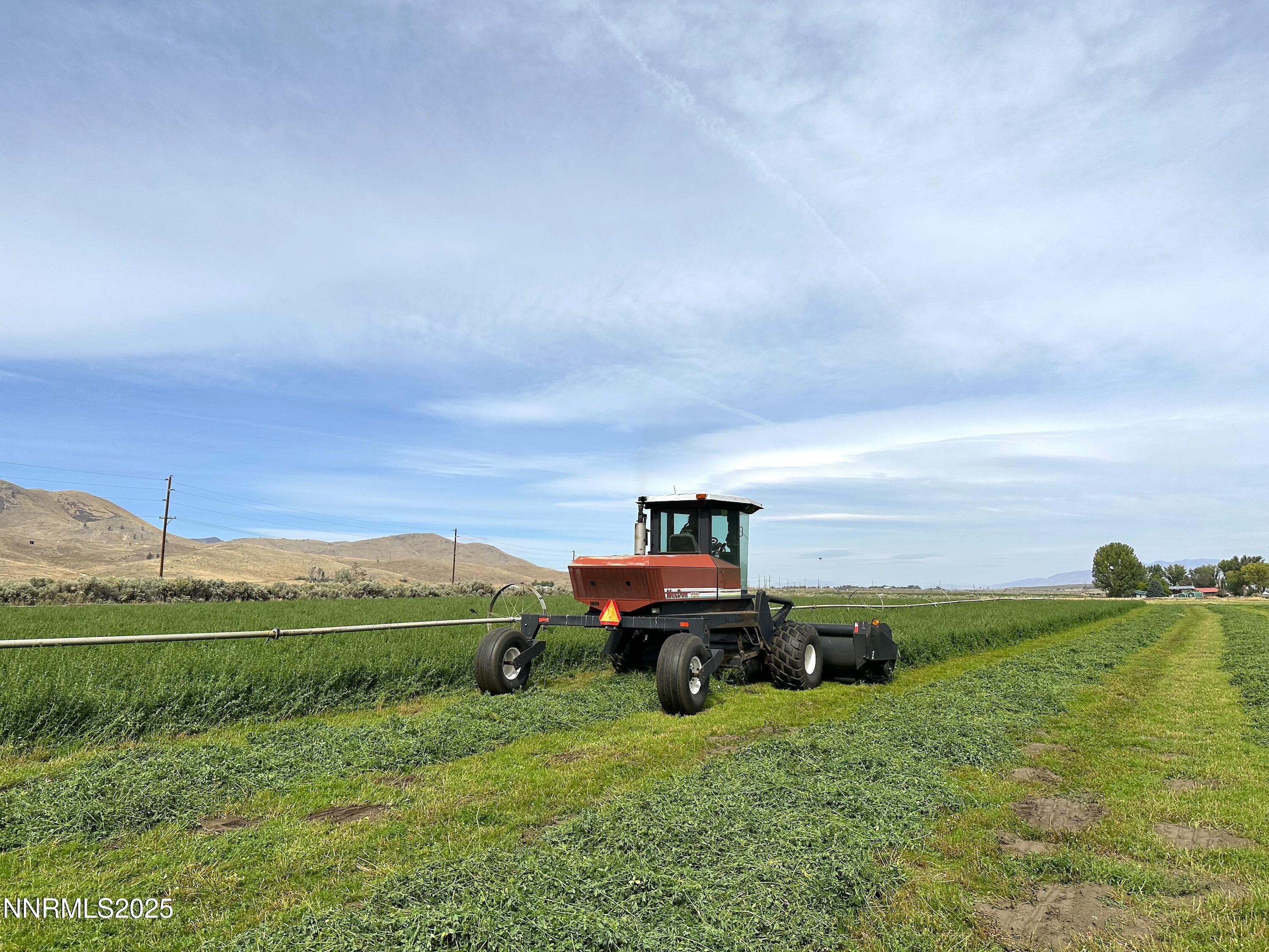 432-250 Constantia Road Doyle, CA 96109 - Photo 33 of 54 a yard with lots of green space and fog