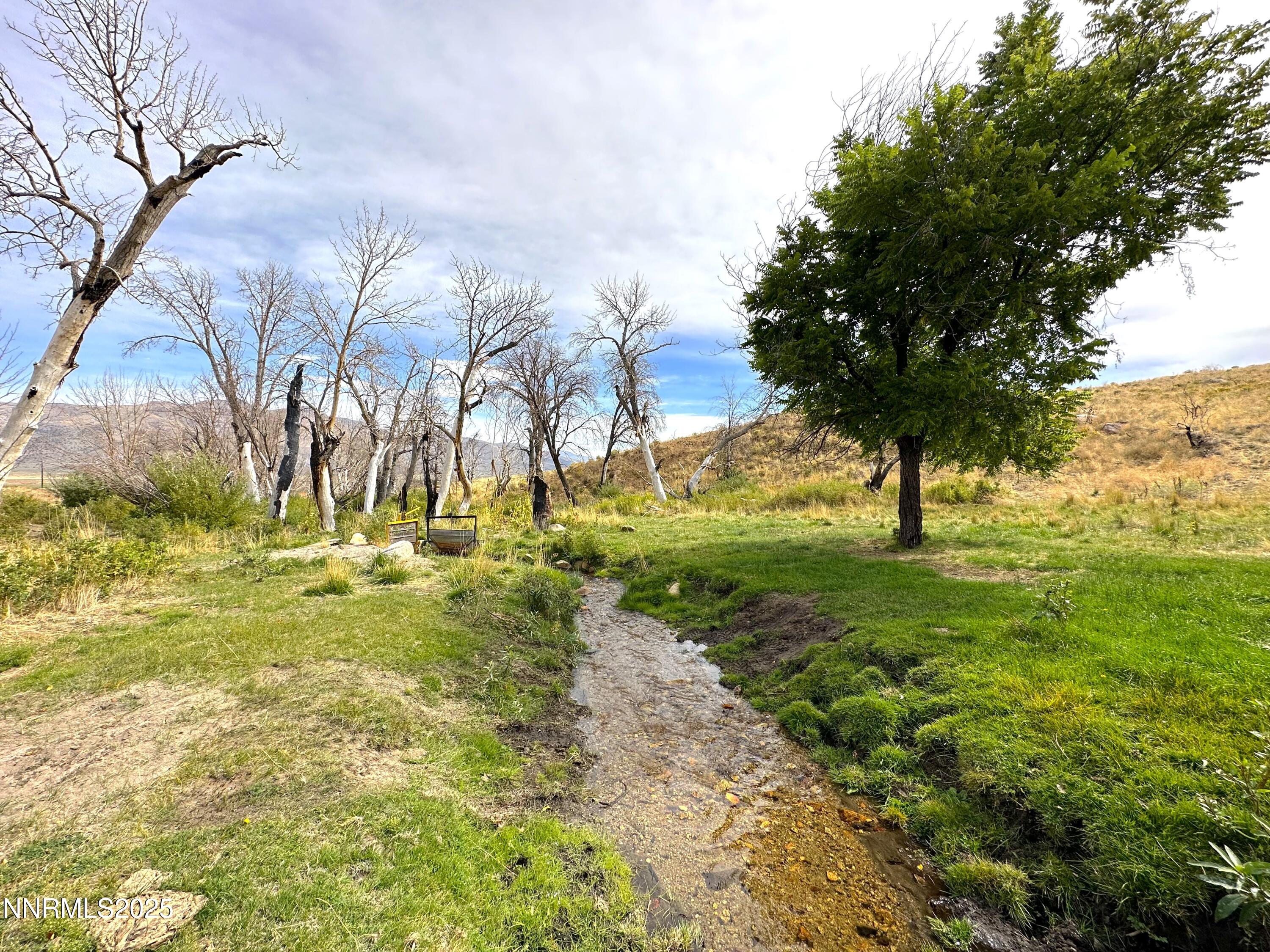 432-250 Constantia Road Doyle, CA 96109 - Photo 36 of 54 a view of swimming pool with a yard