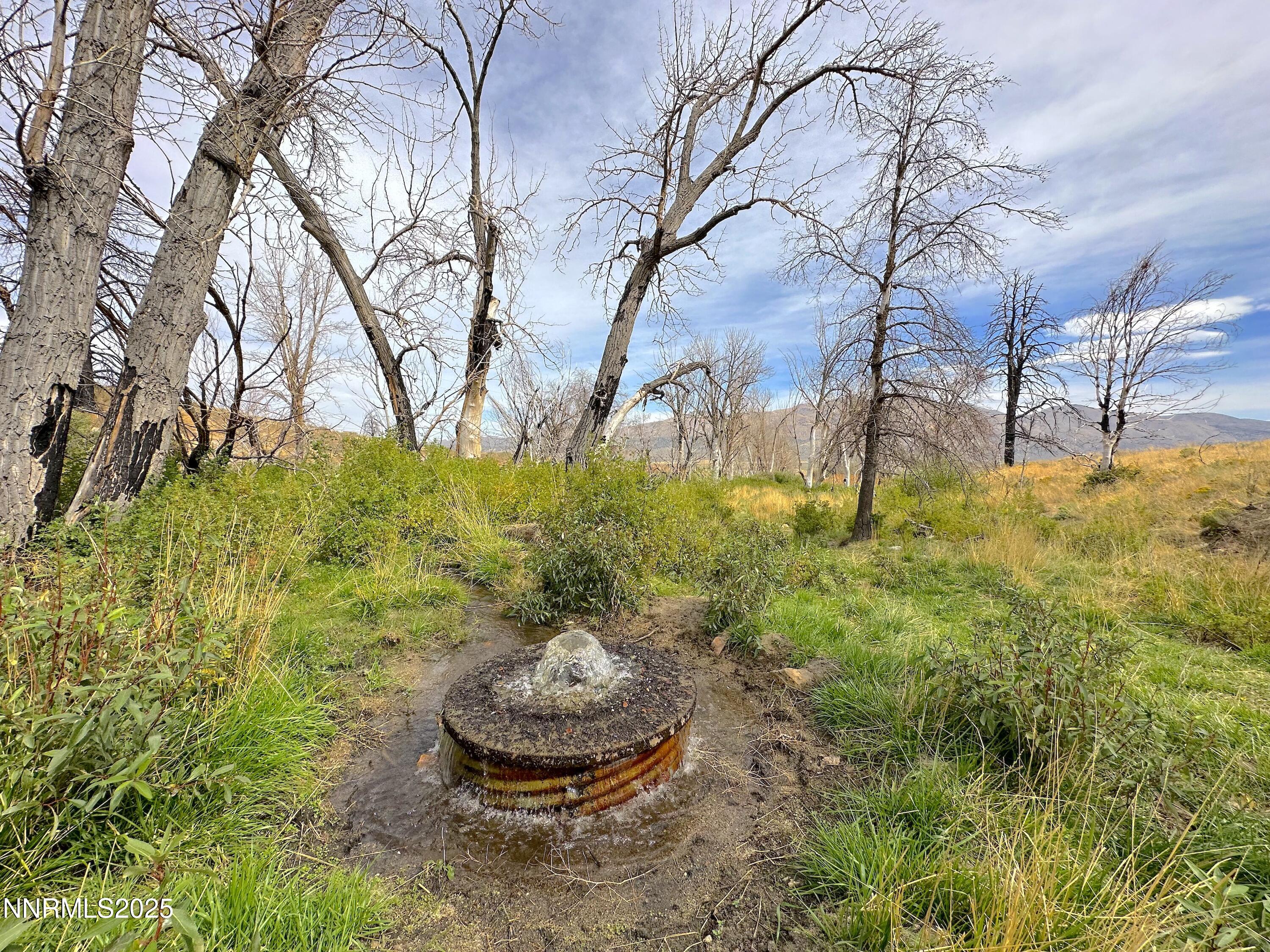 432-250 Constantia Road Doyle, CA 96109 - Photo 37 of 54 a backyard of a house with lots of green space