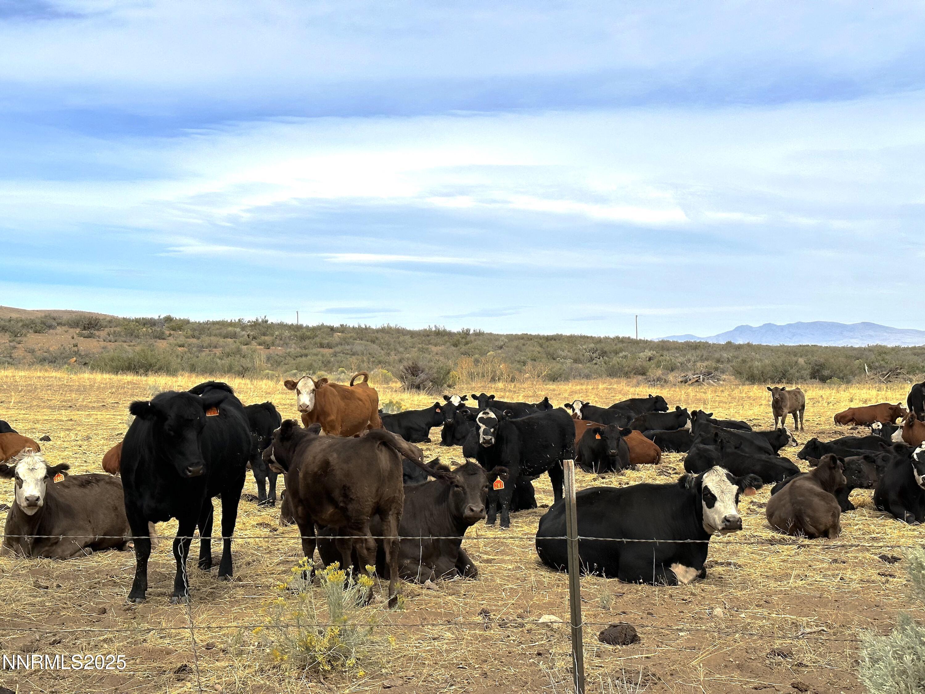 432-250 Constantia Road Doyle, CA 96109 - Photo 38 of 54 a view of a ocean beach and outdoor space