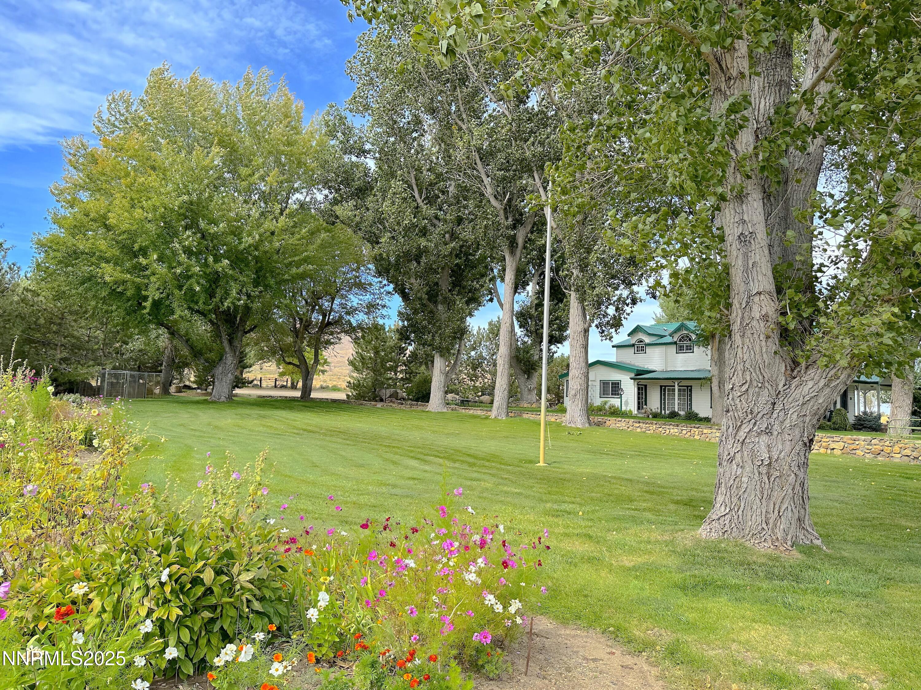 432-250 Constantia Road Doyle, CA 96109 - Photo 49 of 54 a big yard with trees in front of it