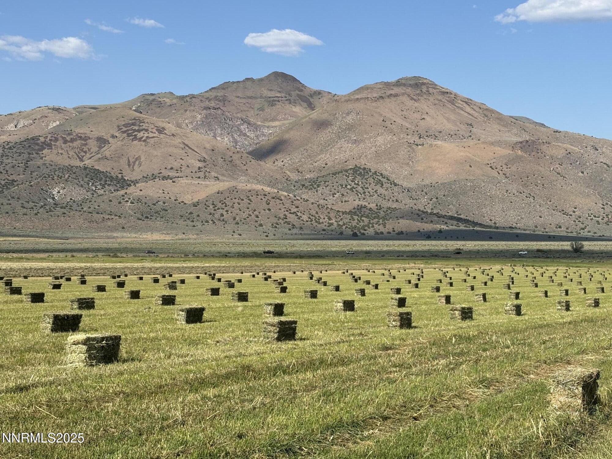 432-250 Constantia Road Doyle, CA 96109 - Photo 6 of 54 a view of a yard