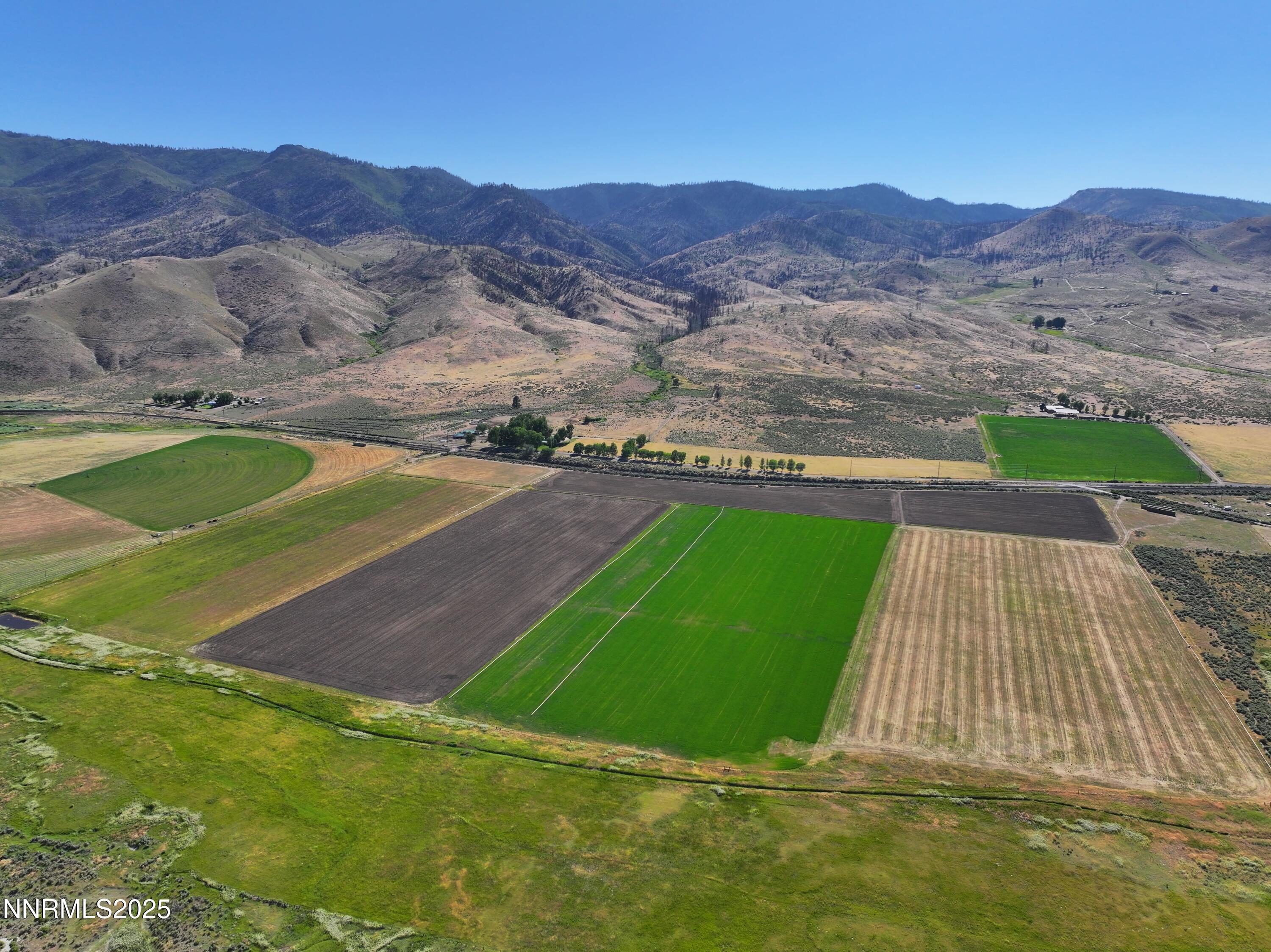 432-250 Constantia Road Doyle, CA 96109 - Photo 7 of 54 a view of a backyard with a garden