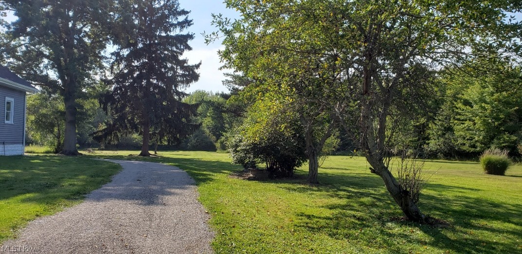 1090 North County Line Road Geneva, OH 44041 - Photo 27 of 32 Side yard