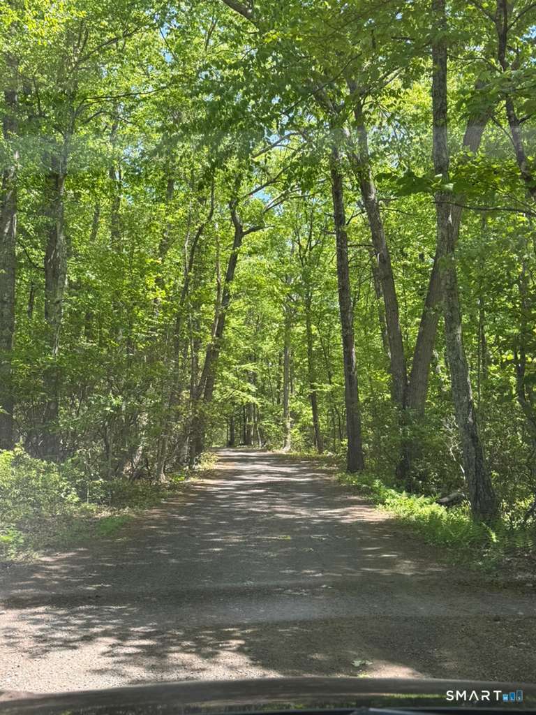 Bunker Hill Road Killingworth, CT 06419 - Photo 4 of 4