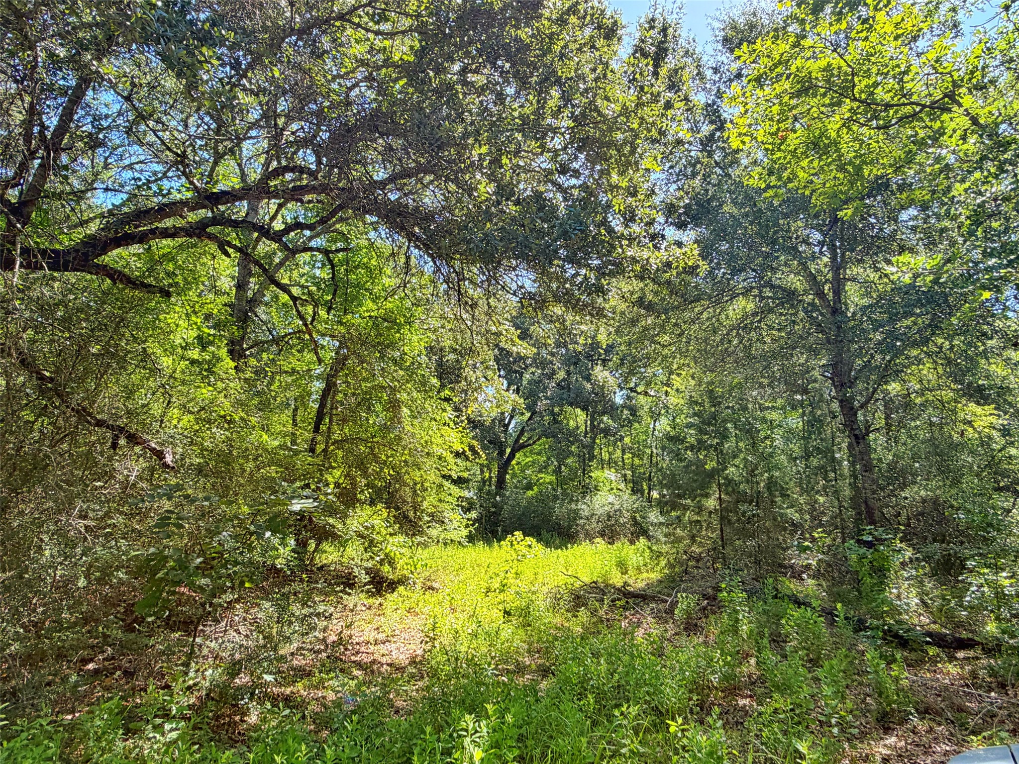 Tbd Tbd I-45 West Feeder Road Centerville, TX 75833 - Photo 12 of 15