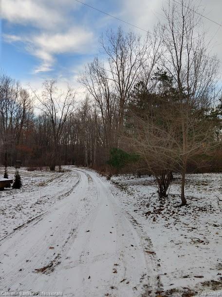 2122 Atwell Road Attica, MI 48412 - Photo 3 of 43 Driveway.jpg