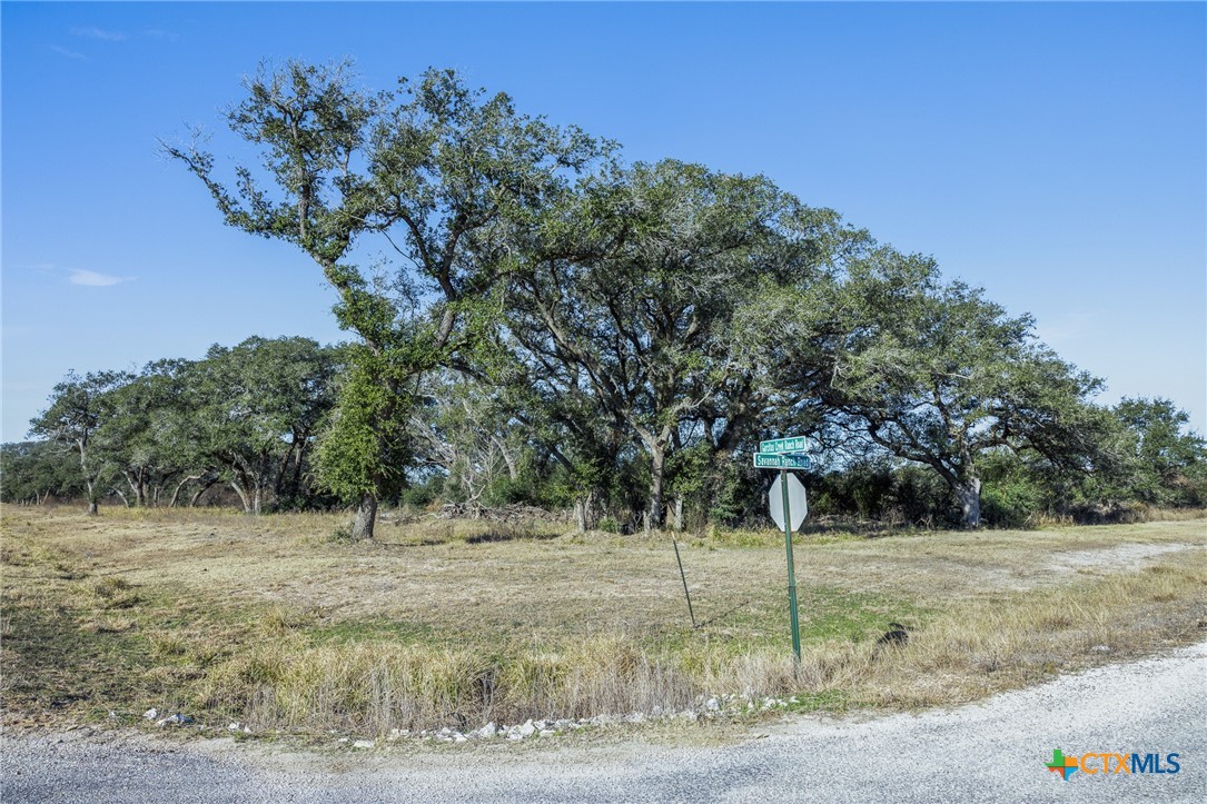 0 Savannah Ranch Road Inez, TX 77968 - Photo 5 of 16