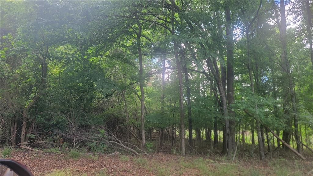 0 Lester Road Athens, GA 30607 - Photo 10 of 16
