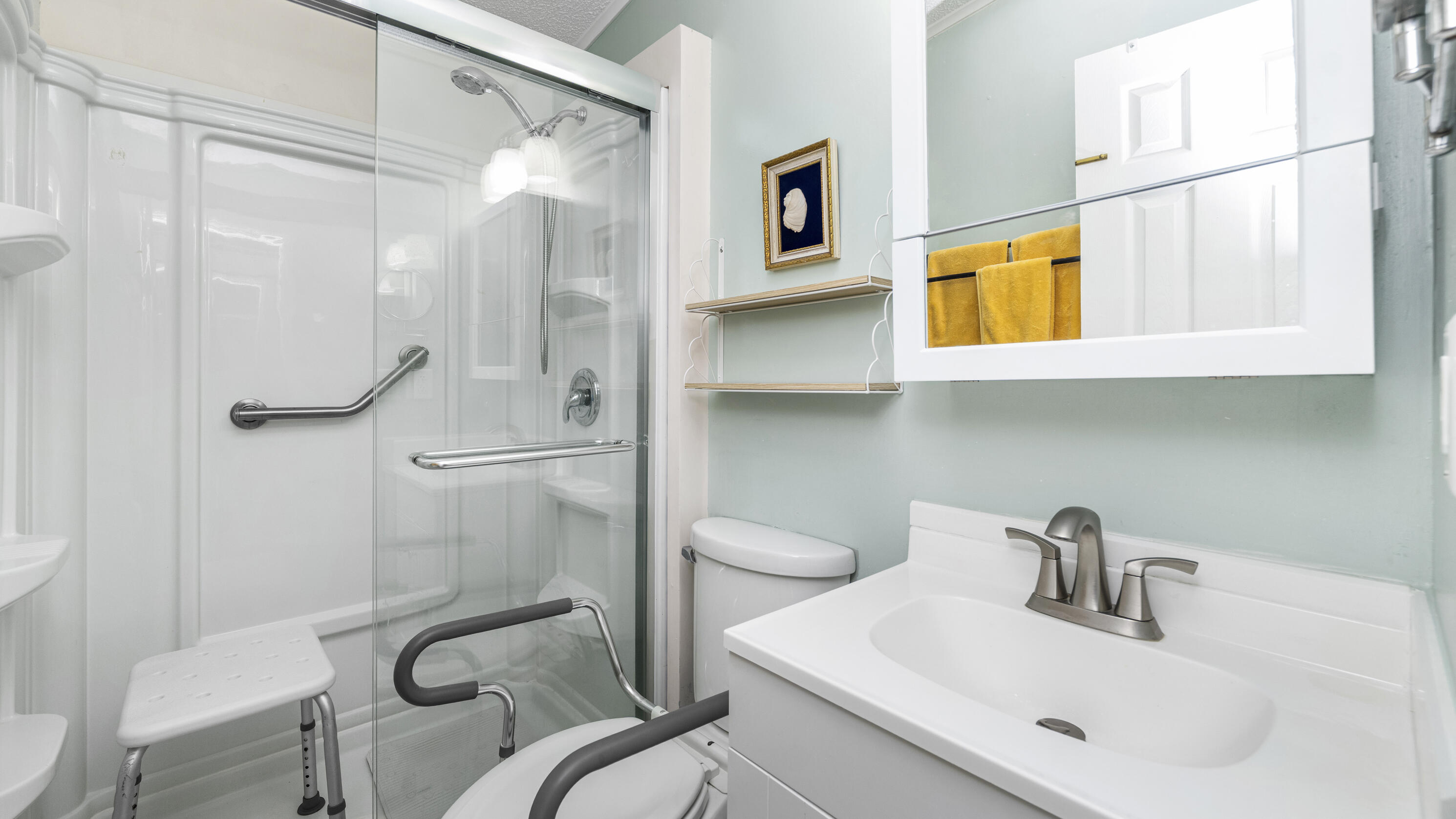 186 Panther Pass Circle Naples, FL 34114 - Photo 11 of 40 a bathroom with a sink mirror vanity and toilet