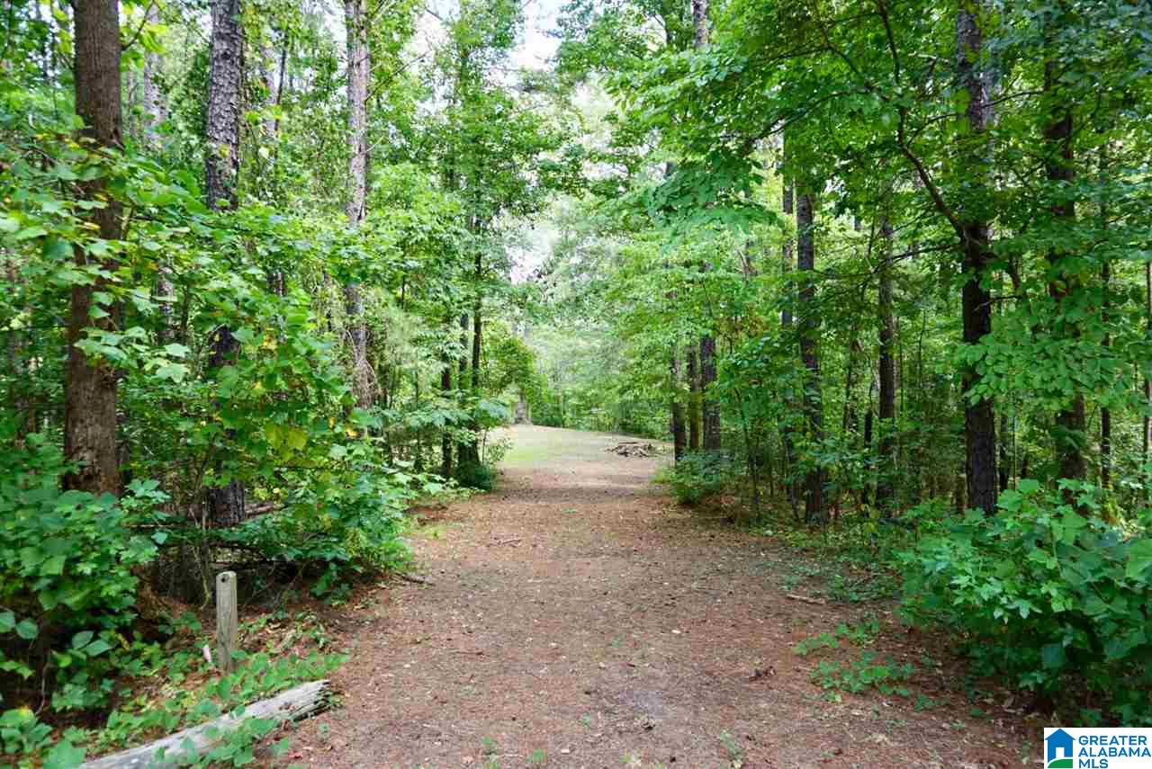 893 Old Patton Ferry Road, Unit 2 Adger, AL 35006 - Photo 4 of 9