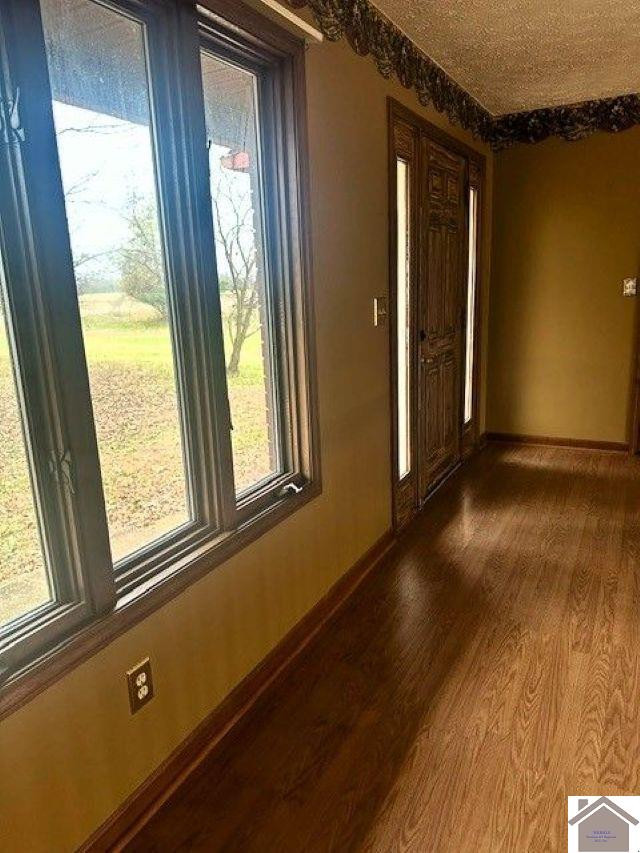 1244 Waggoner Bottom Road Wingo, KY 42088 - Photo 13 of 25 Front entrance