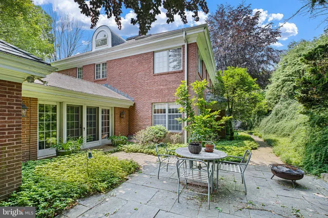 a close up of a white flower in a garden