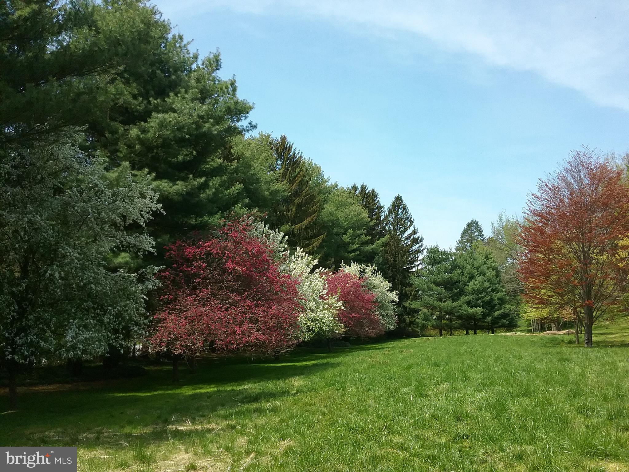2 Farron Drive Kennett Square, PA 19348 - Photo 67 of 88 Crab Trees in Full Bloom