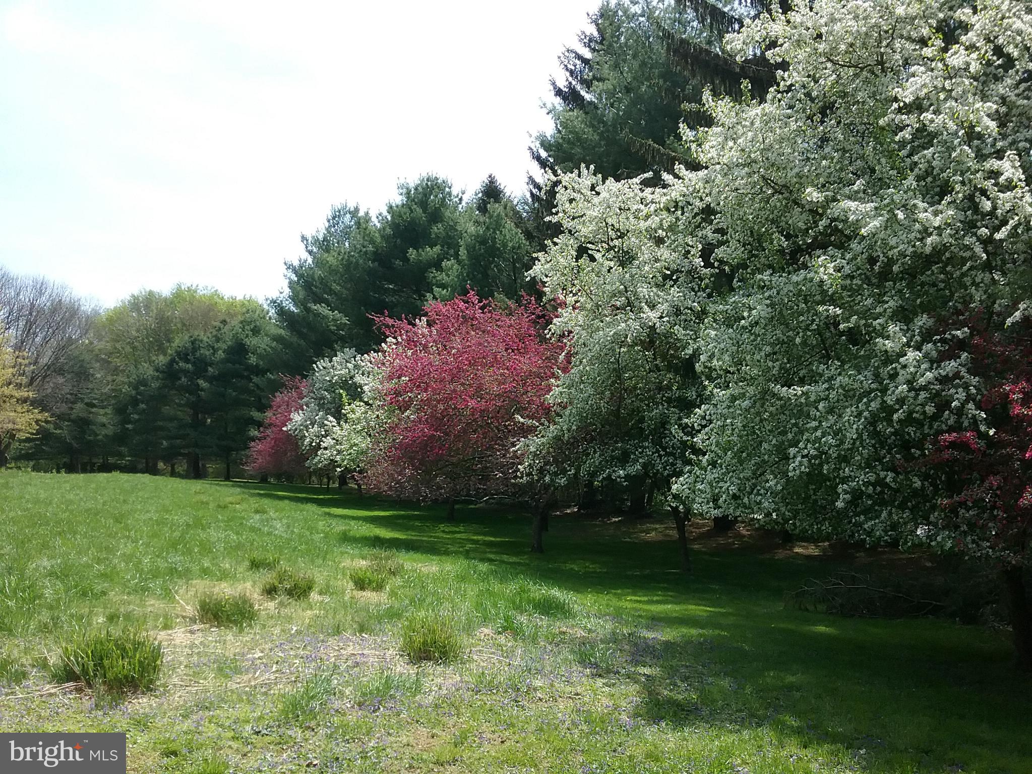 2 Farron Drive Kennett Square, PA 19348 - Photo 72 of 88 Crab Trees in Full Bloom