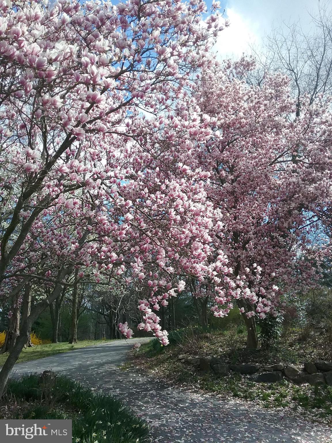 2 Farron Drive Kennett Square, PA 19348 - Photo 73 of 88 In Full Bloom