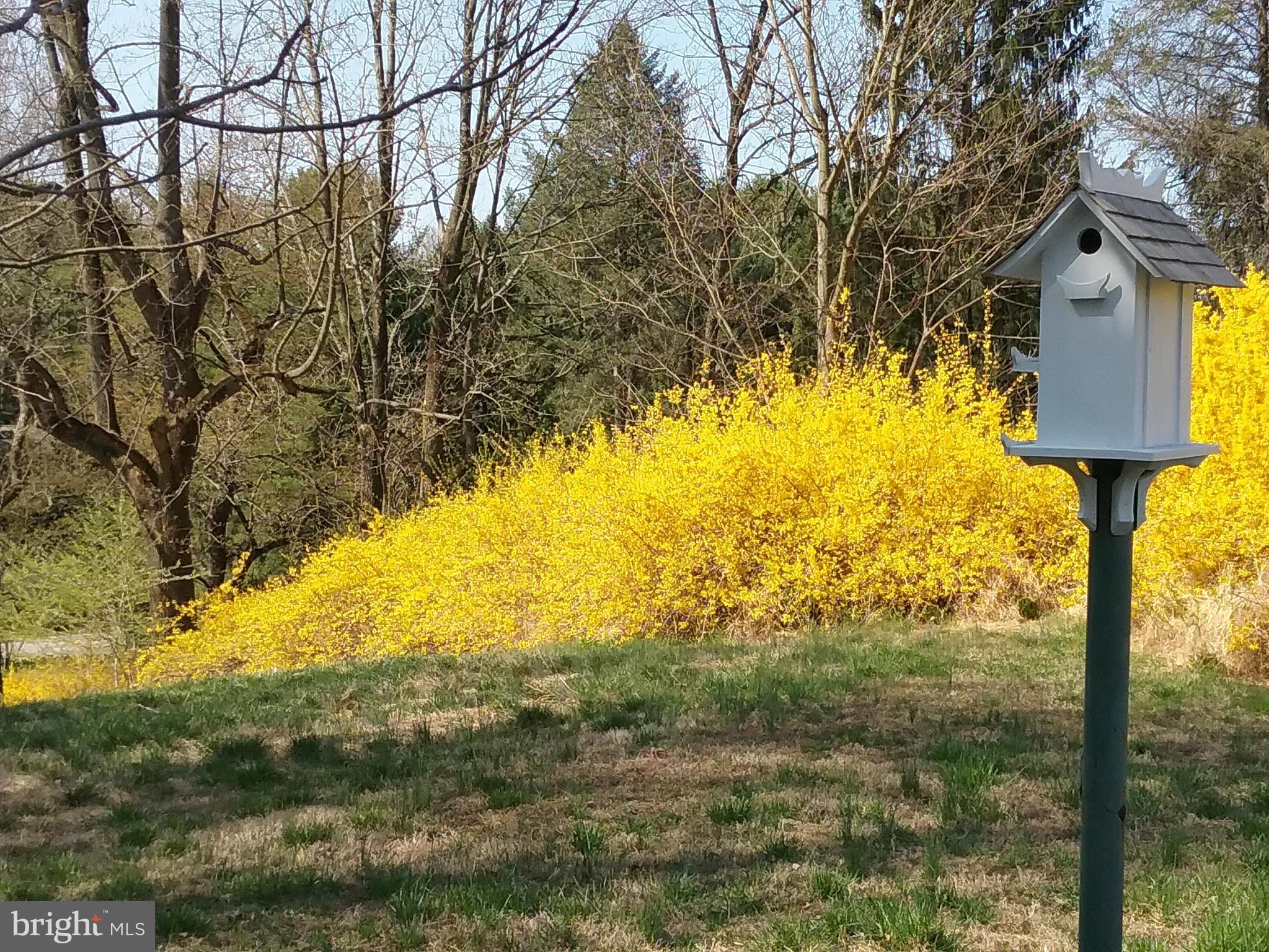 2 Farron Drive Kennett Square, PA 19348 - Photo 78 of 88 In Full Bloom