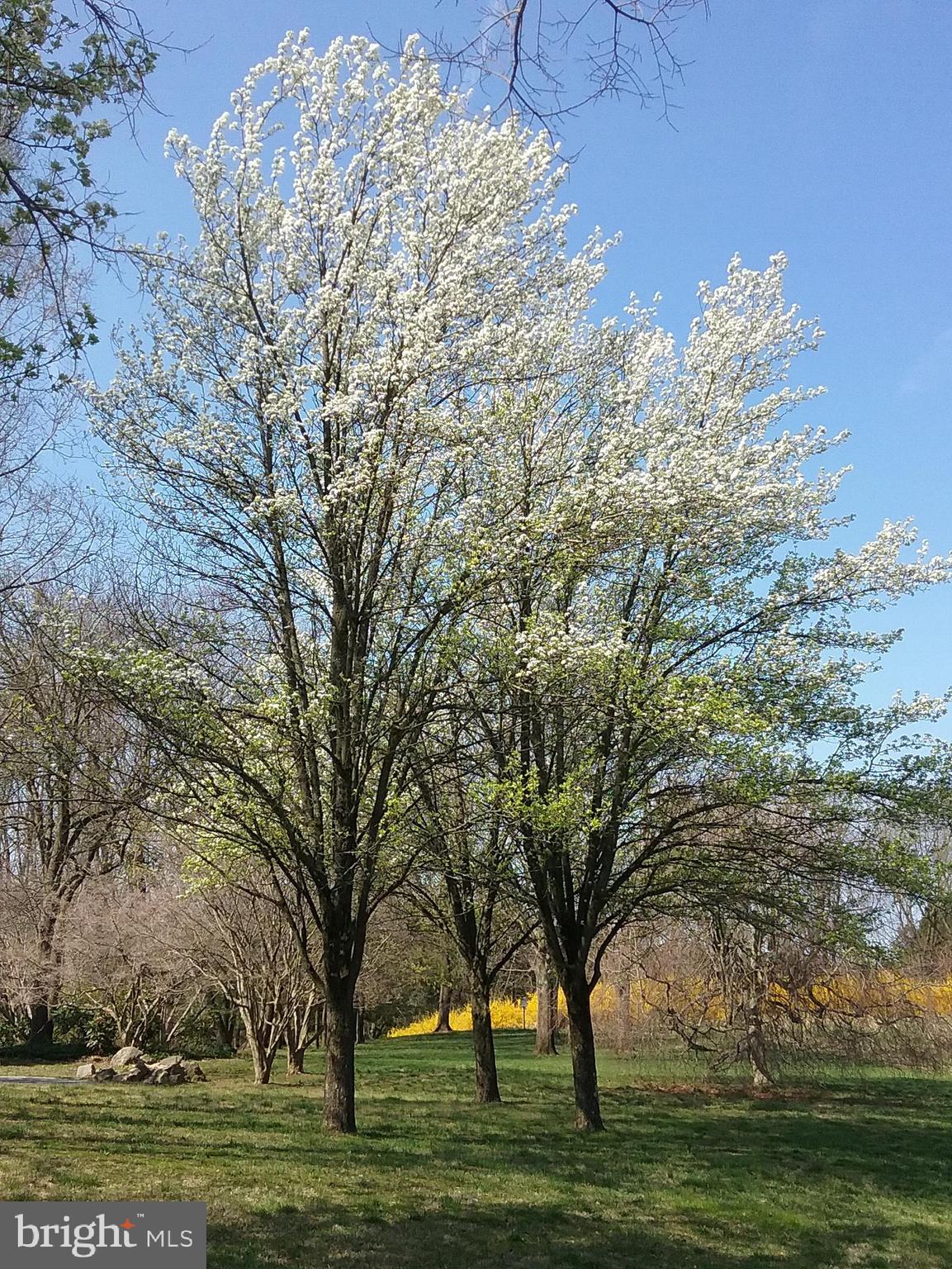 2 Farron Drive Kennett Square, PA 19348 - Photo 79 of 88 In Full Bloom