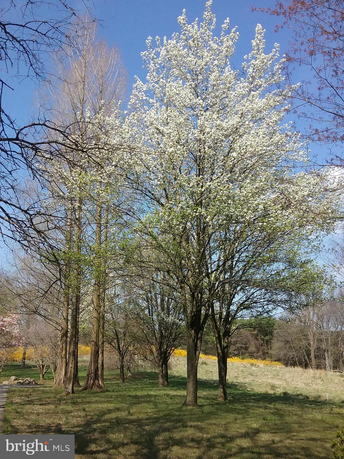 2 Farron Drive Kennett Square, PA 19348 - Photo 80 of 88 In Full Bloom