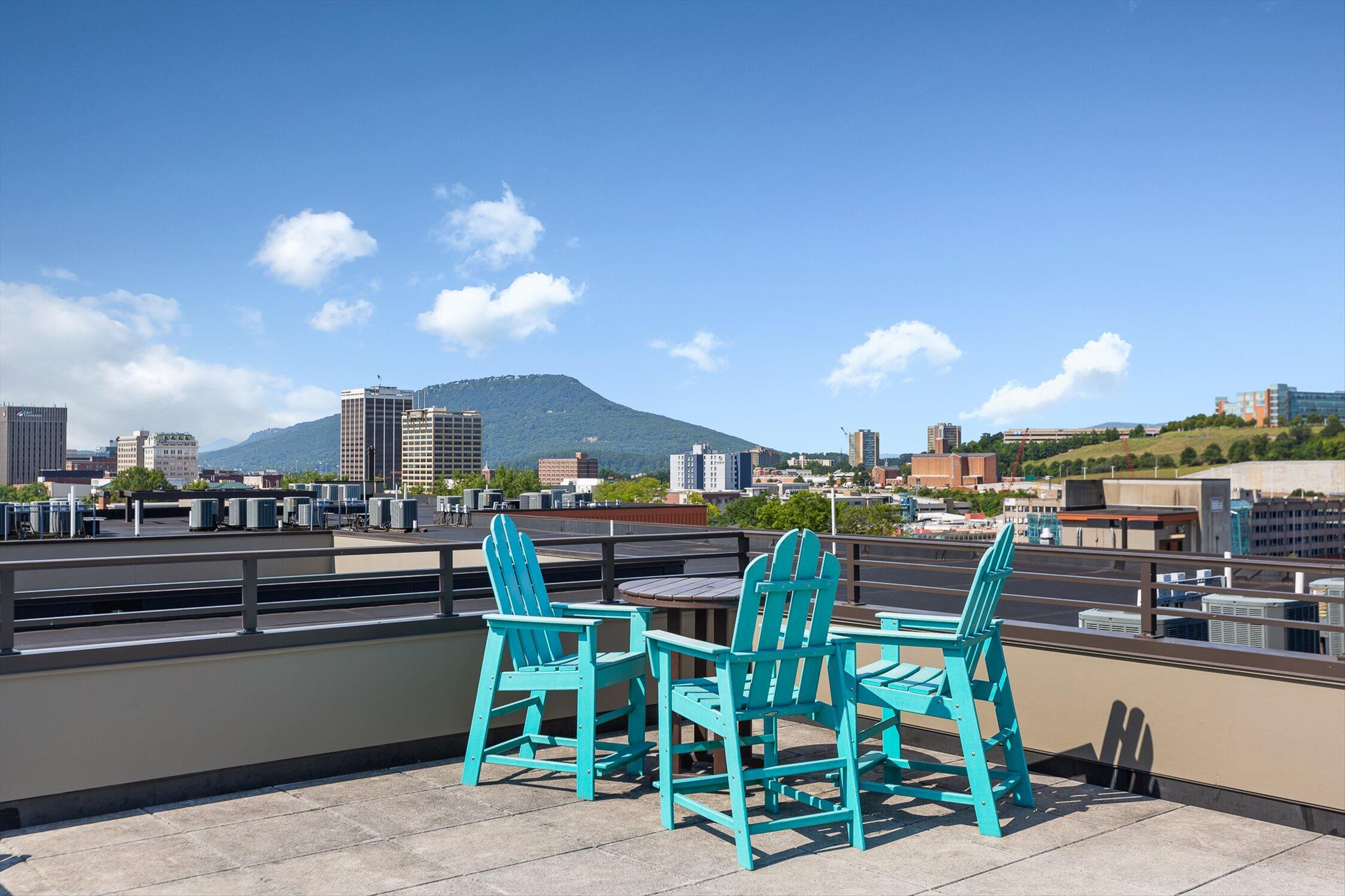 129 Walnut Street, Unit 20 Chattanooga, TN 37403 - Photo 41 of 51 Museum Bluff private rooftop