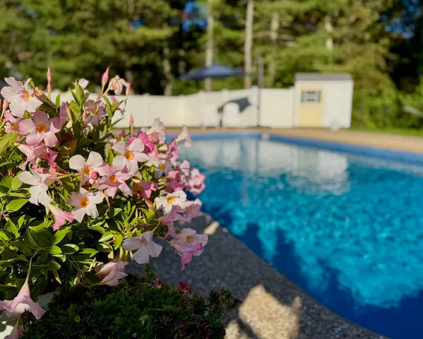 $1,239,000 | 23 Fredrickson Road, Norfolk, MA 02056